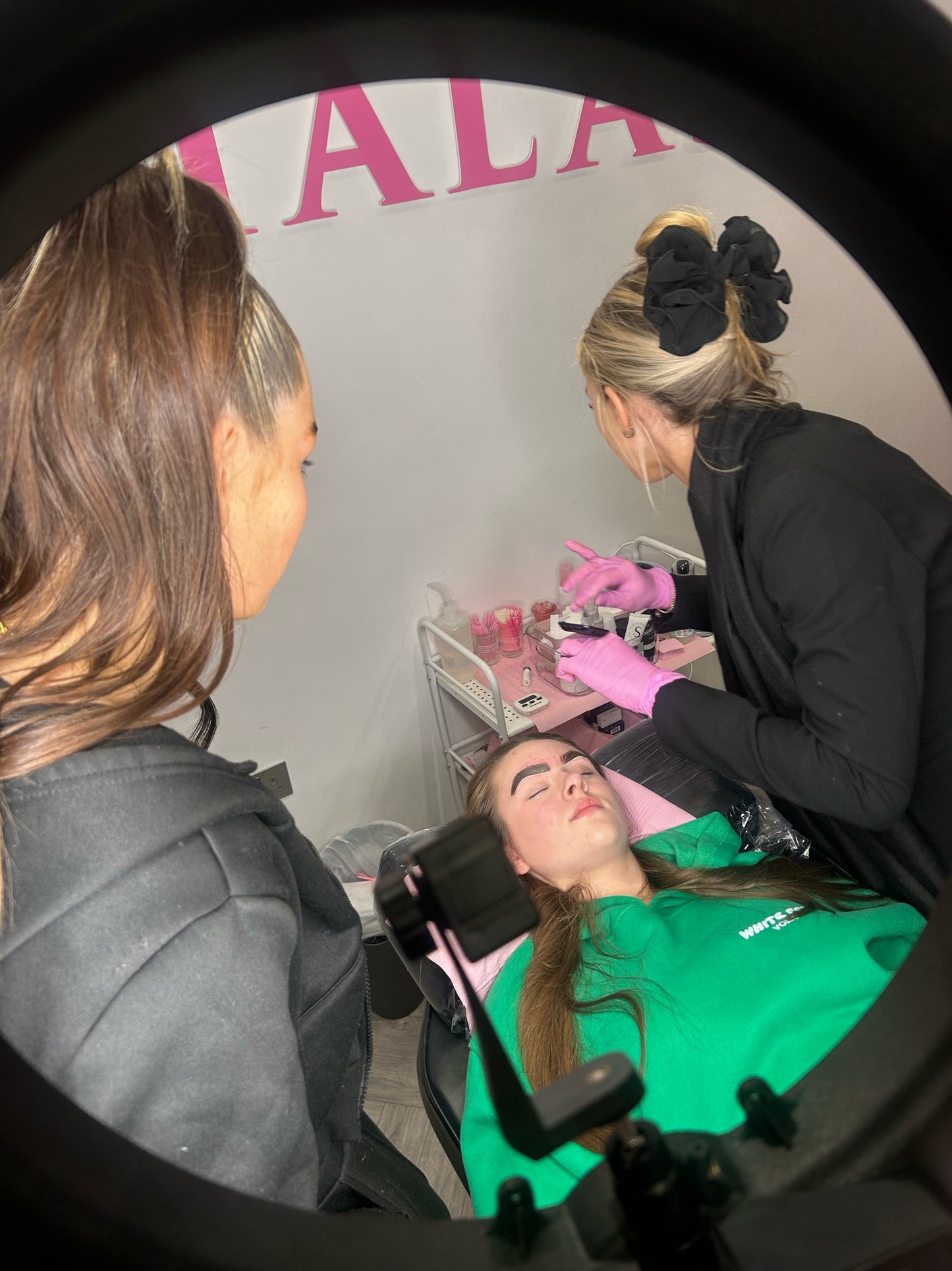 Precison brow training course