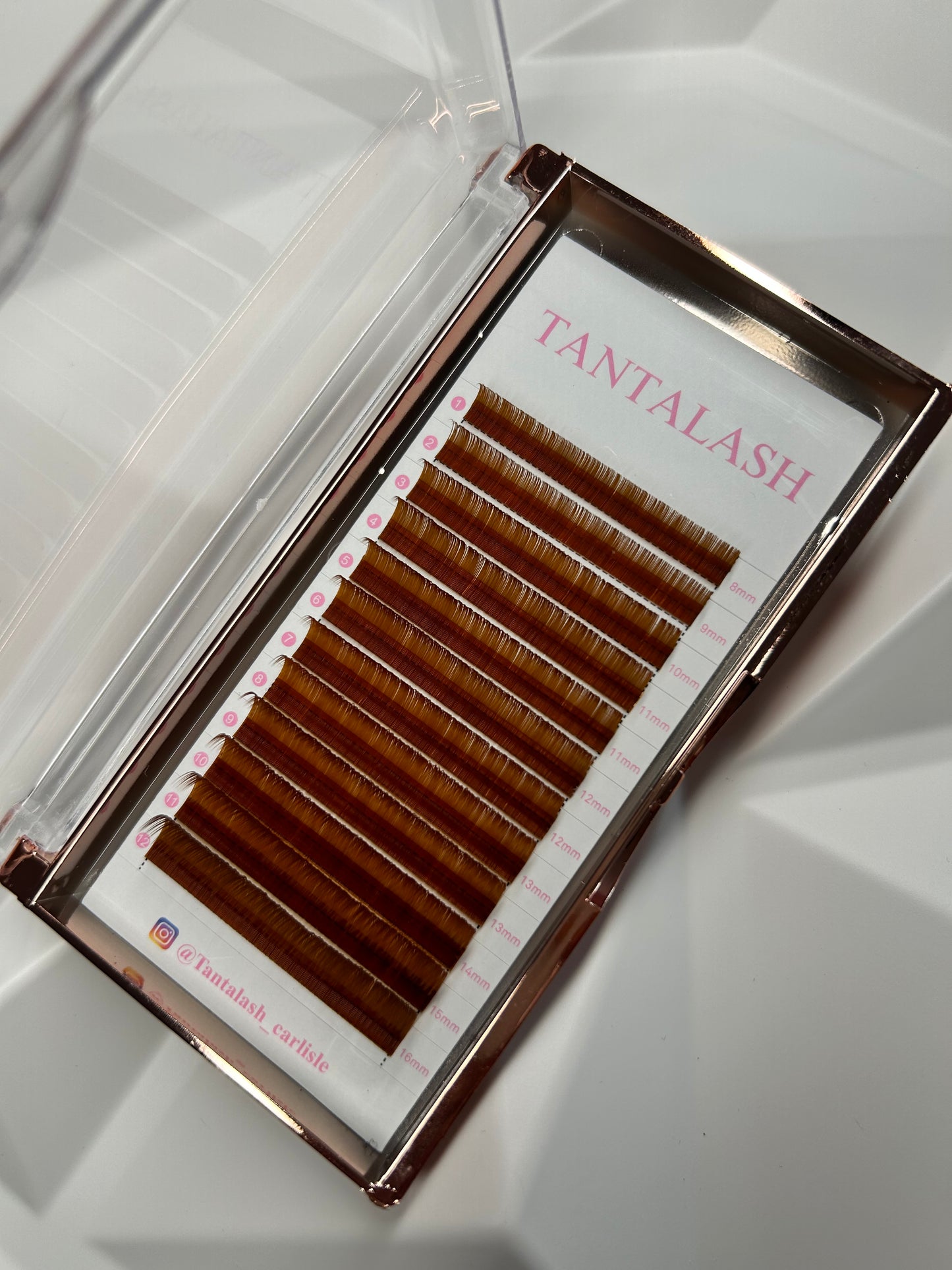 Brown classic lash trays