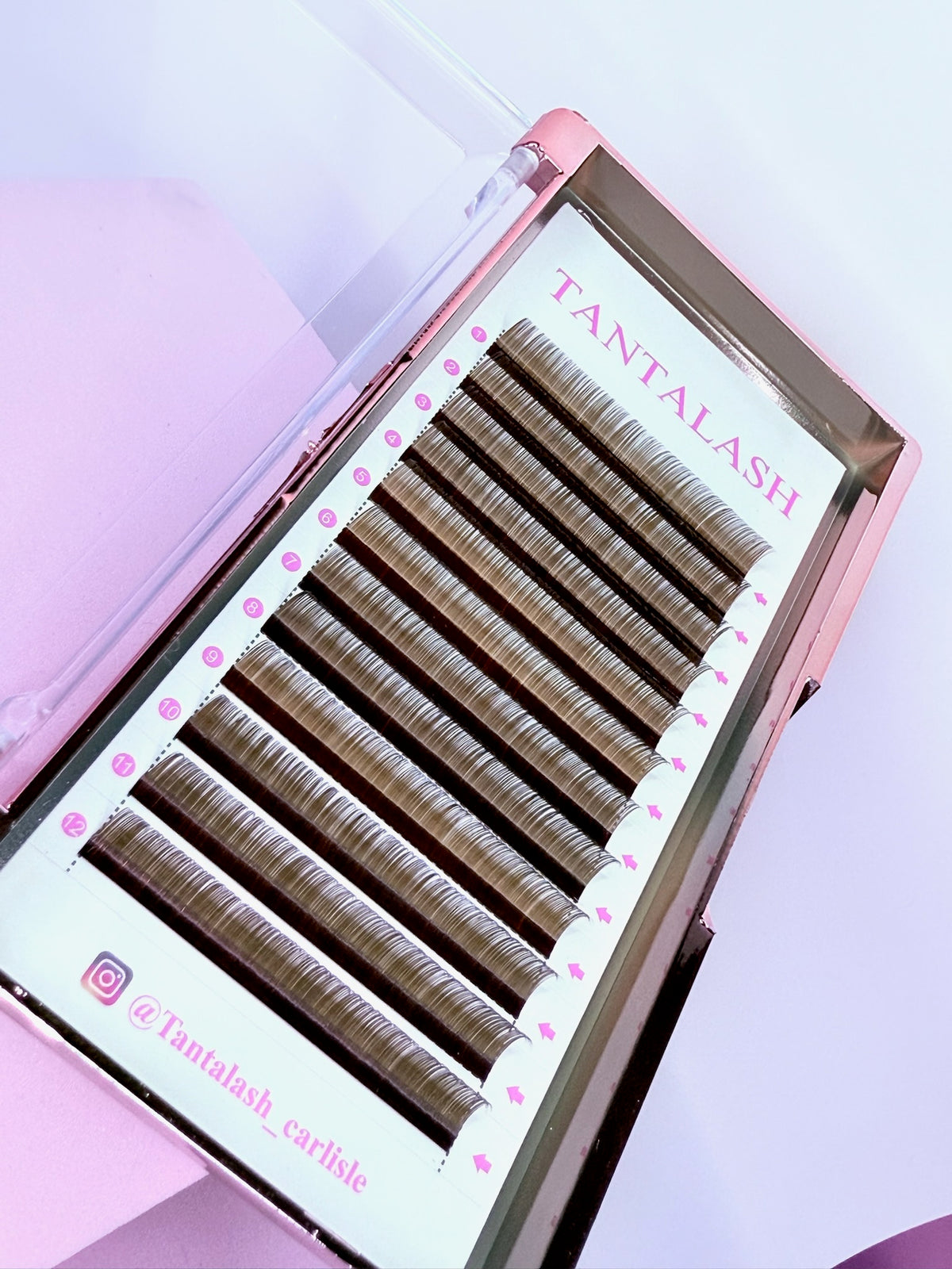 Brown classic lash trays