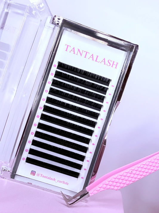 Volume Lash trays